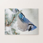 Blue Jay in Blue Atlas Cedar Legpuzzel (Horizontaal)
