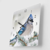 Blue Jay in Blue Atlas Cedar Vierkante Klok (Hoek)