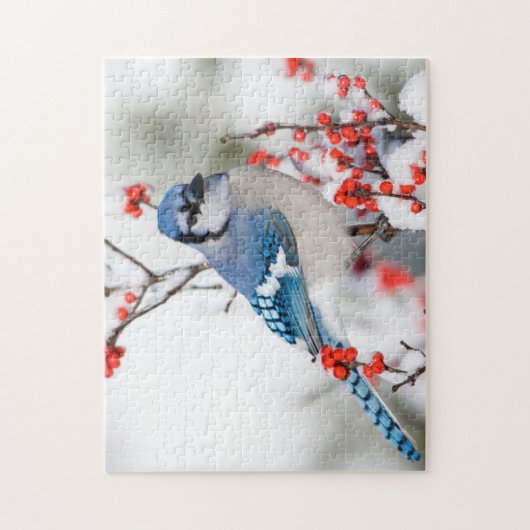 Blue Jay in Common Winterberry Legpuzzel (Verticaal)