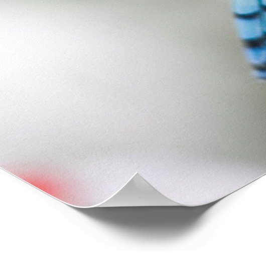 Blue Jay in Common Winterberry Poster (Hoek)