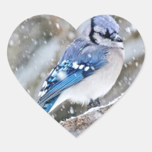 Blue Jay in een Snowstorm Hart Sticker