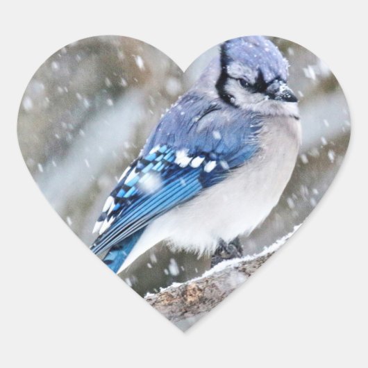 Blue Jay in een Snowstorm Hart Sticker (Voorkant)