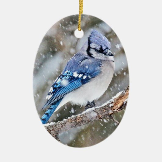 Blue Jay in een Snowstorm Keramisch Ornament (Voorkant)