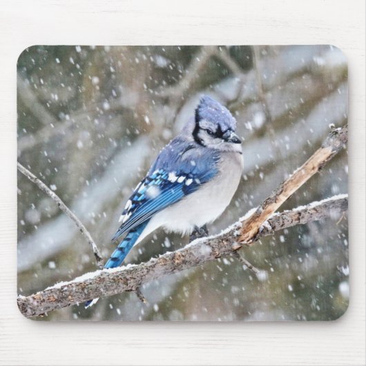 Blue Jay in een Snowstorm Muismat (Voorkant)