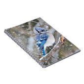Blue Jay in een Snowstorm Notitieboek (Rechterzijde)