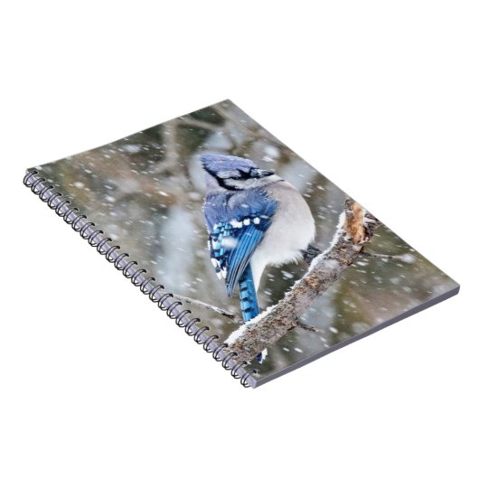 Blue Jay in een Snowstorm Notitieboek (Rechterzijde)