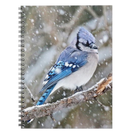 Blue Jay in een Snowstorm Notitieboek (Voorkant)