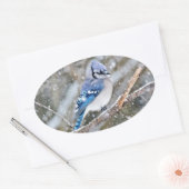 Blue Jay in een Snowstorm Ovale Sticker (Envelop)