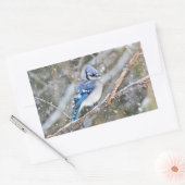 Blue Jay in een Snowstorm Rechthoekige Sticker (Envelop)