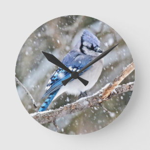 Blue Jay in een Snowstorm Ronde Klok