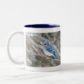 Blue Jay in een Snowstorm Tweekleurige Koffiemok (Links)