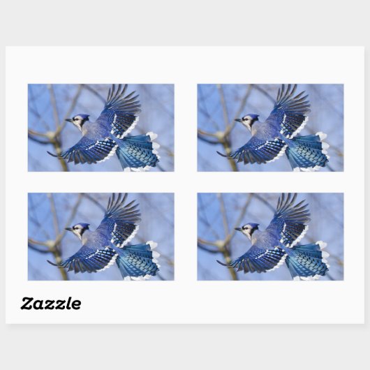Blue Jay in Flight Sticker (Vel)