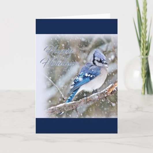 Blue Jay in Snow-kerstfeestdag Feestdagen Kaart (Voorkant)
