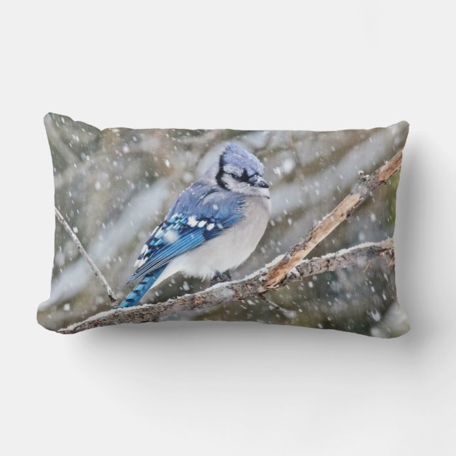 Blue Jay in Snowstorm Kussen (Voorkant)