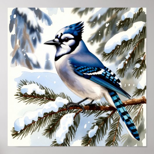 Blue Jay in Snowy Pines Watercolor Winter Bird Poster (Voorkant)