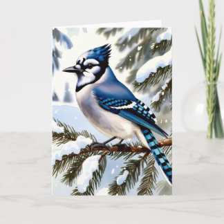 Blue Jay in Snowy Pines Winter Greeting Kaart