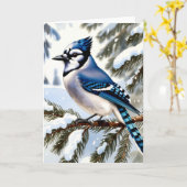 Blue Jay in Snowy Pines Winter Greeting Kaart (Gele Bloem)