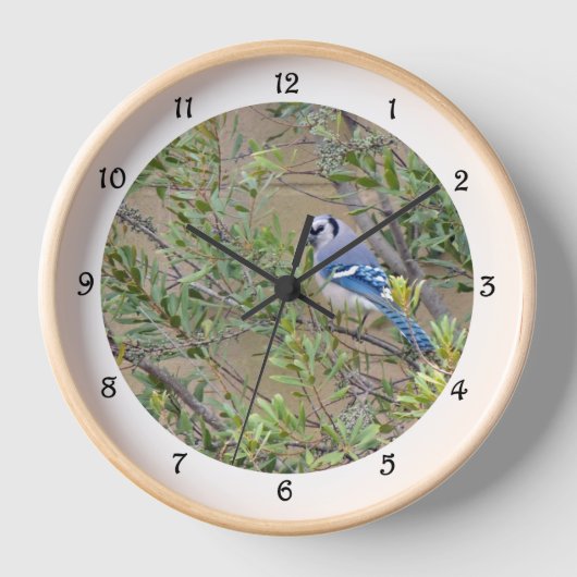 Blue Jay in Southern Wax Myrtle Wall Clock (Voorkant)