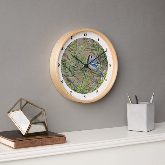 Blue Jay in Southern Wax Myrtle Wall Clock (Kantoor)
