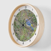 Blue Jay in Southern Wax Myrtle Wall Clock (Hoek)