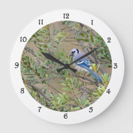 Blue Jay in Southern Wax Myrtle Wall Clock Grote Klok