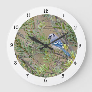 Blue Jay in Southern Wax Myrtle Wall Clock Grote Klok