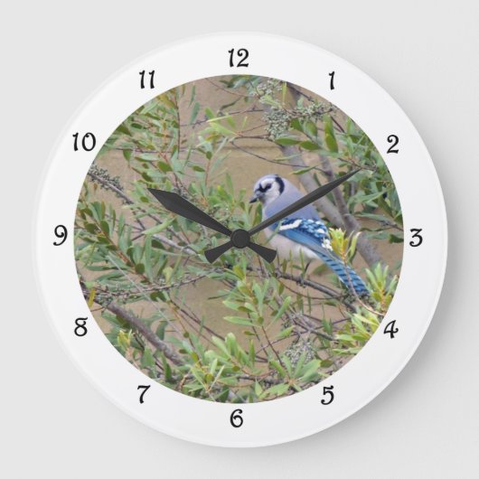 Blue Jay in Southern Wax Myrtle Wall Clock Grote Klok (Voorkant)