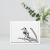 Blue Jay in Winter Briefkaart (Staand voorkant)