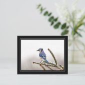 Blue Jay in Winter Briefkaart (Staand voorkant)