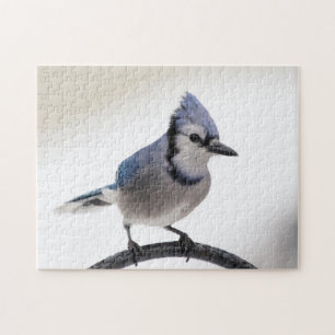 Blue Jay in Winter Legpuzzel