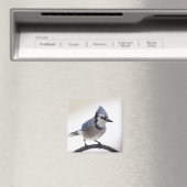 Blue Jay in Winter Magneet (Insitu (Vaatwasser))