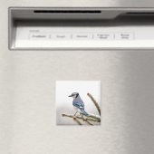 Blue Jay in Winter Magneet (Insitu (Vaatwasser))