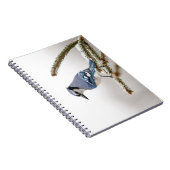 Blue Jay in Winter Notitieboek (Rechterzijde)