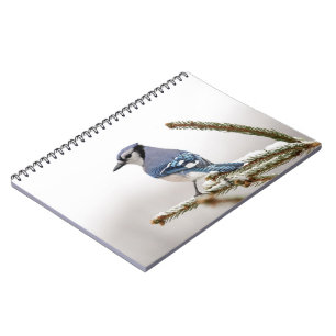 Blue Jay in Winter Notitieboek