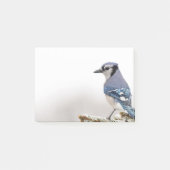 Blue Jay in Winter Post-it® Notes (Voorkant)