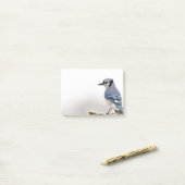 Blue Jay in Winter Post-it® Notes (Op bureau)
