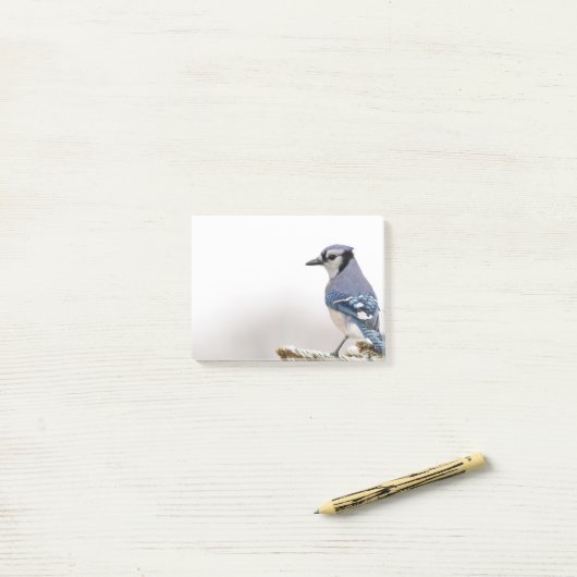 Blue Jay in Winter Post-it® Notes (Op bureau)