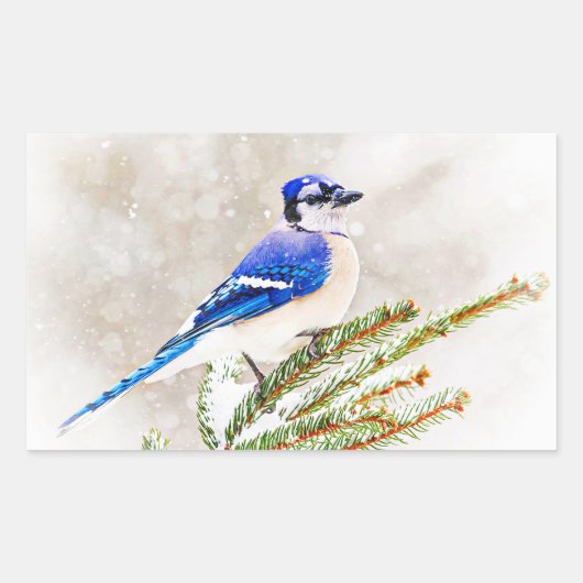 Blue Jay in Winter Rechthoekige Sticker (Voorkant)