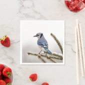 Blue Jay in Winter Servetten (Insitu)