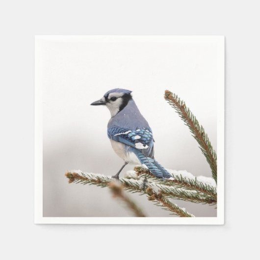 Blue Jay in Winter Servetten (Voorkant)