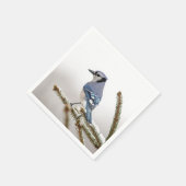 Blue Jay in Winter Servetten (Hoek)