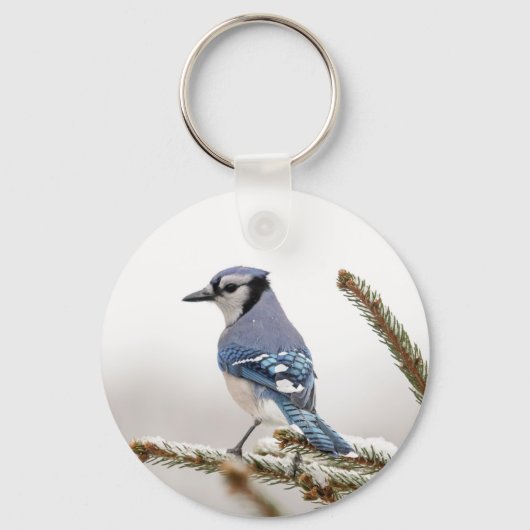 Blue Jay in Winter Sleutelhanger (Voorkant)