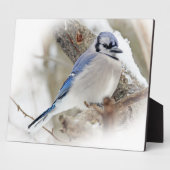 Blue Jay in Winter Snow Fotoplaat (Zijkant)