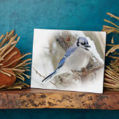 Blue Jay in Winter Snow Fotoplaat (Zijkant)