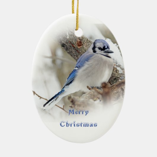 Blue Jay in Winter Snow Keramisch Ornament (Achterkant)