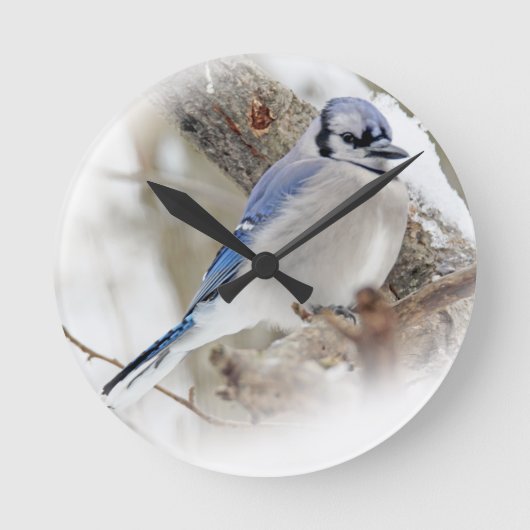 Blue Jay in Winter Snow Ronde Klok (Voorkant)