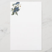 Blue Jay, John Audubon Briefpapier (Voorkant)