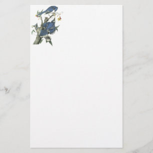 Blue Jay, John Audubon Briefpapier