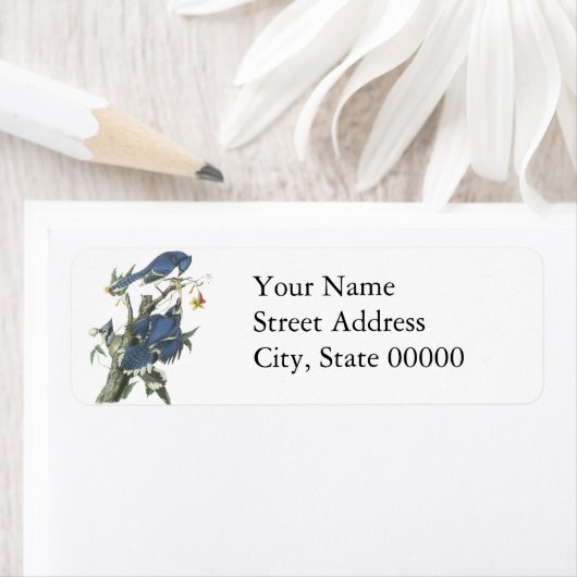 Blue Jay, John Audubon Etiket (Insitu)