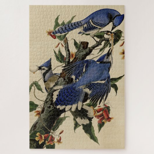 Blue Jay - John James Audubon's Birds of America Legpuzzel (Verticaal)